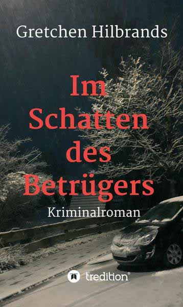 Im Schatten des Betrügers | Gretchen Hilbrands