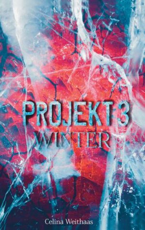 Winter: Projekt III | Bundesamt für magische Wesen