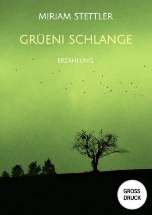 Ufs mou ischs ir Stube dunku gsi wi in re Chueh inne. Scho wider e Stromusfau! Aufgrund von mysteriösen Stromausfällen kursieren wilde Verschwörungstheorien im Alltag der Berner und ihre Welt droht im Chaos zu versinken. Während einige behaupten "die z Bärn obe wei üs doch für dumm verchoufe" meinen andere "Hirngschpinscht sigi das, wi denn der schwarz Panther, wo d Frou vom Hübeli Buur vorme Johr het wöue gseh ha ir Chueweid hinge. " Liebenswert witzig und unschuldig klug, erzählt Nora ihre Sicht der Ereignisse. Erhältlich als Hardcover (gebunden) oder als Sonderausgabe Grossdruck/Grossschrift für Menschen mit Sehschwäche.