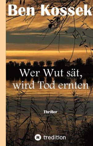 Das Buch beschreibt einen alten ungelösten Fall, einen sogenannten "Cold Case", über ein verschwundenes Mädchen, das höchstwahrscheinlich ermordet wurde, deren Leiche jedoch spurlos verschwindet. Es tauchen neue Hinweise und Spuren auf, die zur spannenden Handlung führen und am Ende ein lange gehütetes Geheimnis lüften.