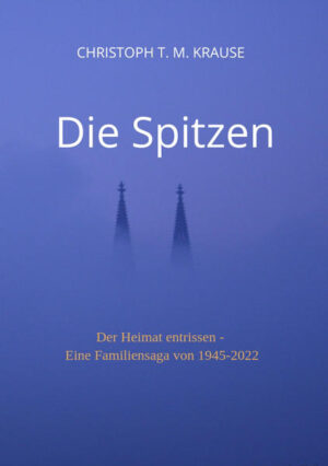 1945, kurz vor Kriegsende in einer deutschen Kleinstadt. Nach heftigen Bombenangriffen wird aus einem eingestürzten Haus ein fünfjähriger Junge gerettet. Er kann sich noch nicht einmal an seinem Namen erinnern, weil eine Schockamnesie alle Erinnerungen ausgelöscht hat. Das einzige, was er immer wieder in seinem Kopf hört, ist: „Die Spitzen“. Der Junge wird vom Roten Kreuz Fritzchen getauft, versorgt und anschließend zur Adoption nach Amerika geschickt, da seine Eltern unauffindbar und wahrscheinlich umgekommen sind. Die Adoptivfamilie nimmt ihn wie einen eigenen Sohn auf und ermöglicht ihm später eine Karriere als international erfolgreicher Architekt. Im Jahre 1970 kommt er zufällig als Unternehmer nach Deutschland und entdeckt die ihn jahrzehntelang verfolgenden „Spitzen“, mehr noch, er muss geschockt erkennen, dass er durch Zufall in seiner Geburtsstadt gelandet ist. Nach einem Nervenzusammenbruch macht er sich, zusammen mit seiner Adoptivmutter, auf die Suche nach seinen leiblichen Eltern.