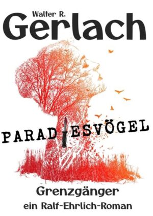 Ralf Ehrlich sucht keine Abenteuer! Trotzdem finden ihn Geschehnisse, die wie eine Achterbahnfahrt scheinen, deren Ankerpunkte Verrat, Misstrauen, Verlangen, Narzissmus und Gier sind. Und, deren Fahrt ihm erneut alles abverlangt. Im November 1987 ist es kalt