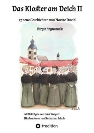 Novize David erzählt aus seinem Kloster am Deich, von dramatischen, lustigen aber auch traurigen Ereignissen aus der Gemeinde rund um das Kloster. Die Leser und Leserinnen lernen ihn kennen auf seinem Weg zum ersten Gelübde und erleben mit, wie er von einem schüchternen und von Selbstzweifeln geplagten Jüngling zu einem Ordensmann wird, der fest im Glauben steht, mit Freude in seiner Gemeinschaft lebt und in den Bauersfamilien mit viel Herzblut seelsorgerisch wirkt.