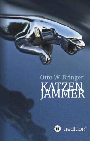 Den Katzenjammer oder Kater kennt jeder, der über den Durst getrunken. Am Morgen danach geschworen: Nie wieder. Nicht viel anders der alles verändernde Schmerz, verliert man durch Tod oder Unfall einen geliebten Menschen. Nicht selten auch ein Ding, das mehr als einen Zweck erfüllte. Ein Haus, das man verkaufen muss, alt und krank geworden. Die Heimat verlieren und fliehen, das Leben zu retten. Der Autor dieses Buches trennte sich nach 72 Jahren Autofahren von seinem Jaguar. Eine Sekunde nicht aufgepasst, den heiß geliebten zu Schrott gefahren. Frau und Tochter durch Krankheit verloren. Sein Haus verkaufen müssen. Allein mit 95 Jahren in einem Seniorenstift. Motiviert, sein Leben kritisch zu hinterfragen. Zuviel genossen? Zuviel gewollt? Zu viel geliebt?