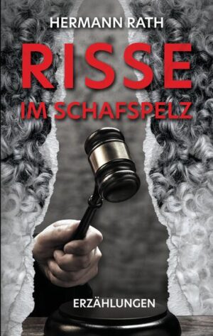 »Ganz ehrlich: So einen leichten Tod hatte er nicht verdient.« Risse im Schafspelz - das sind die Momente, wenn das wahre Gesicht von Menschen oder Dingen hervortritt. Wenn die Zahlen zurückschlagen, innere Stimmen rufen oder Kunden zu Entführern werden. Wenn Schülerinnen beginnen, die Lehrerin zu mobben und ehemalige Partygäste zu Mördern werden. Zehn raffiniert gewebte Erzählungen über die Welt von heute und ihre manchmal dunkle, manchmal aber auch überraschend heitere Seite.