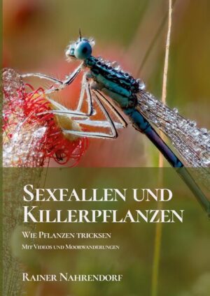 Dieses multimediale Buch mit seinen per QR-Code integrierten Videos will den Artenschutz stärken und zeigt dies am Beispiel der gefährdeten heimischen Orchideen und des streng geschützten Sonnentaus. Schon Charles Darwin hielt diese Pflanzen für Naturwunder. Mit faszinierenden Tricks sichern sie ihre Fortpflanzung und ihr Überleben. Orchideen gelten als die Königinnen der Pflanzen, aber die bildschönen Königinnen sind zugleich Trickbetrügerinnen. Sie locken mit der Farbenpracht ihrer Blüten und mit Düften Insekten an, um ihre Bestäubung zu sichern. Ein Drittel aller Orchideen täuscht die Insekten, indem sie ihnen die für die Bestäubung erwartete Gegengabe, den Nektar, vorenthalten. Die Raffinesse der Nektartäuscher wird von den Sexvortäuscherinnen noch übertroffen. Sie locken liebestolle Insektenmännchen an, indem sie mit dem Aussehen ihrer Blüten und dem Verströmen von Lockstoffen weibliche Insekten nachahmen. Sind die Insektenmännchen in diese Sexfalle gegangen, bekommen sie die Pollen angeheftet, die sie zu einer anderen Orchidee der gleichen Art tragen. Reingelegt werden Insekten nicht nur durch die Sexfallen vieler Orchideen. Gefährlicher sind für sie die in der Sonne glitzernden Schleimtropfen (Fachbegriff „Tau“) des Rundblättrigen Sonnentaus. Haben sie sich in den klebrigen Fangarmen verfangen, gibt es kein Entkommen. Sie werden aufgefressen. Enzyme helfen dem Sonnentau, seine Opfer zu verdauen und Nährstoffe aufzunehmen, auf die er in den nährstoffarmen Mooren angewiesen ist. Er sichert sich sein Überleben, indem er Insekten tötet. Schon Charles Darwin war von diesen Täuscherpflanzen begeistert. Sie gehören zum schützenswerten Weltnaturerbe. Der Aronstab ist gnädiger als die insektenfressenden Pflanzen. Er nimmt die Mücken und Fliegen, die er durch Aasgeruch anlockt, nur in Geiselhaft. Nach erfolgter Bestäubung lässt er sie wieder frei. Aber nicht nur Pflanzen tricksen, Pilze können es auch, wie der „Fliegentöter“-Pilz zeigt. Männliche Stubenfliegen versuchen tote weibliche Fliegen zu begatten und holen sich dabei unausweichlich den eigenen Tod. Bei zwei Moorwanderungen in der Eifel zum Sonnentau können Leser zu Tatortzeugen werden. Das Buch enthält eine Linksammlung zum Moor- und Insektenschutz. Leser brauchen nur Stichworte aus den Links in die Suchmaske einer Suchmaschine einzugeben, um vertiefende Informationen über Programme und Projekte zum Moor- und Insektenschutz zu erhalten. Das engagierte Naturschutzbuch zeigt, wie sich Bürger und Unternehmen für den Erhalt der Biodiversität engagieren können. Die spannenden Naturvideos sorgen für ein faszinierendes Kinoerlebnis. Die wunderschönen Fotos von Kurt Krimberger werden Natur- und Makrofotografen begeistern.