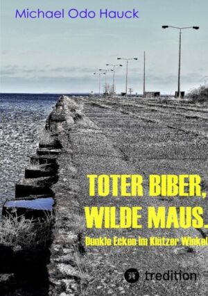 Im beschaulichen, lieblichen Klützer Winkel gedeihen schreckliche Strukturen. Eine unheimliche Macht scheint alle Fäden in der Hand zu haben. Nazis versuchen ihr Süppchen zu kochen, Stasi-Akten tauchen auf, und jetzt mischt auch noch die Mafia mit. Hauptwachtmeister Pannwit will Ordnung in seinem Heimatort schaffen, ist aber ganz alleine. Annika und Alexander suchen dort ihr Glück. Da taucht zu allem Unglück ein Toter auf. Was weiß die Hexe? Ist der Apotheker schuldig? Hat der Fischer die Finger im Spiel? Oder gar Annikas Mann? Der Polizist und die junge Frau ermitteln einzeln, lösen den Fall schließlich aber gemeinsam, und erleben Ungeahntes.