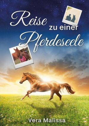 Als die Autorin von ihrem Mann einen Gutschein für Anfängerstunden in der nahen Reitschule erhält, ahnt sie nicht, dass dieses Geschenk ihr Leben von Grund auf verändert. Denn dort trifft sie den schwer traumatisierten Sanchez, der so ganz anders ist als die übrigen Pferde, und dessen Schicksal sie nicht mehr loslässt. Gegen alle Vernunft kauft sie ihn, und alles scheint sich zum Guten zu wenden. Doch jäh wird ihre Idylle zerstört, und plötzlich steht nicht mehr die Freude am Reiten im Vordergrund, sondern die Sorge um Gesundheit und Leben des geliebten Pferdes. Diese Entwicklung zwingt sie zum Umdenken, sie lernt, Sanchez anzunehmen wie er ist und seine Bedürfnisse zu akzeptieren. Der gemeinsame Weg verändert nicht nur Sanchez, sondern prägt auch die Autorin, die zu einem Menschen wird, für den das Wohl der Pferde im Mittelpunkt steht.