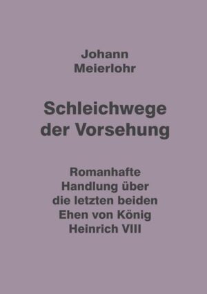 Schleichwege der Vorsehung | Johann Meierlohr