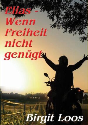 Seit seiner Kindheit ist Elias den Anfeindungen seines Bruders ausgesetzt. Infolge eines bösen Streiches verliert er sein Hörvermögen. Es fällt ihm schwer seine Behinderung zu akzeptieren. Sie bestärkt ihn in seinem Gefühl wertlos zu sein. Mit neunzehn Jahren brcht er alle Brücken hinter sich ab und bummelt durch die Welt. Ziel- und orientierungslos reist er von einem Ort zum anderen. Erst ein Hilferuf seiner minderjährigen Schwester bringt ihn nach Hause zurück. Seine Mutter und sein Bruder sind bei einem Unfall mit dem Traktor ums Leben gekommen. Bald darauf sieht er sich einem Chaos gegenüber. Ein bankrottes Weingut, kriminelle Machenschaften, ein homosexuelles Paar, eine Teenagerschwangerschaft und dem Wiedersehen mit seiner großen Liebe. Alles bricht wie ein Orkan über ihn herein. Ist Elias bereit, seine kostbare Freiheit zu opfern und die Verantwortung für seine Familie zu übernehmen?