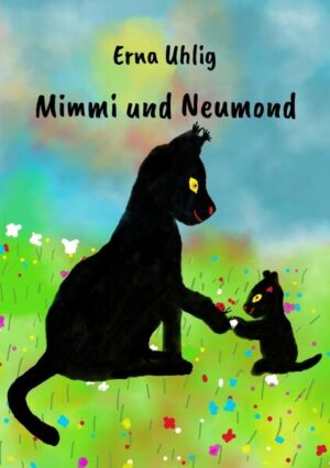 Mimmi hat nun eine kleine Familie. Während ihre Tochter ein kleiner Wildfang ist und ihre besondere Fähigkeit weiter erkunden will, wird ihr Sohn zu einer Hauskatze und lernt mit seiner Schwester zusammen, mithilfe seines Besitzers, alles Mögliche über die Menschen und ihre Sachen.