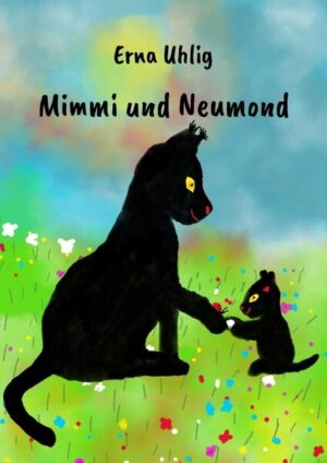 Mimmi hat nun eine kleine Familie. Während ihre Tochter ein kleiner Wildfang ist und ihre besondere Fähigkeit weiter erkunden will, wird ihr Sohn zu einer Hauskatze und lernt mit seiner Schwester zusammen, mithilfe seines Besitzers, alles Mögliche über die Menschen und ihre Sachen.