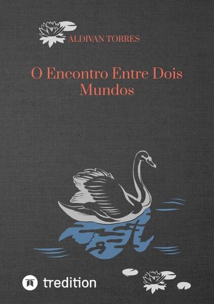 O encontro entre dois mundos” é uma grande jornada dos aventureiros vidente e Renato. Está dividido em duas partes que se situam no passado e no presente respectivamente que buscam mostrar a importância da luta para concretização dos nossos ideais sejam eles quais forem. Na parte um, viagem a Sítio Fundão-Cimbres-Pesqueira-PE ao encontro dum dos responsáveis por uma revolução no passado.Ajudados por ele,a dupla em questão é treinada até desenvolver a co-visão,chave para a visão da história.Quando estão preparados,são submetidos a ela e viajam ao início do século XX no nordeste,tempo de opressão,injustiças e preconceitos e de fome.Durante todo o tempo, observam o exemplo da população lutadora da época,especialmente um grupo que toma parte ativa na trama.Contudo,Será que tiveram sucesso absoluto em seus objetivos?Desmascaram as elites?Ou fracassaram?E ainda será que conseguiram o tão esperado encontro de mundos tão dispares em relação á classes sociais,opiniões,estereótipos e amor?