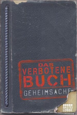 Ehrlich währt am längsten? Nein: Ehrlich dauert am längsten und ist noch dazu überaus langweilig. Kleine Mauscheleien dagegen peppen den Alltag auf und zahlen sich aus. Einen Doktortitel kaufen, Falschparken ohne Strafe oder Passwörter knacken - alles ist möglich - und noch viel mehr! Viel Spaß und gute Nerven am Rande der Illegalität.