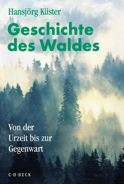 Geschichte des Waldes | Bundesamt für magische Wesen