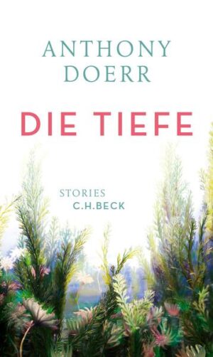 Die sechs Stories dieses Bandes, angesiedelt auf drei verschiedenen Kontinenten, handeln von Erinnerung und Liebe. In jedem Augenblick, sagt Anthony Doerr, verschwinden überall auf der Welt unzählige Erinnerungen, dabei sind sie es, die unserem Leben Sinn und Zusammenhang verleihen. Gleichzeitig erforschen Kinder neues, unbekanntes Terrain, formen frische Erinnerungen, erfinden die Welt neu. In „Die Memel“ zieht ein verwaistes Mädchen zu ihrem Großvater nach Litauen und entdeckt eine Welt, in der Mythen real werden. In „Dorf 113“ geht es um den Bau des Drei-Schluchten-Damms und um die Samenhüterin, die auch die Geschichte des Dorfes bewahrt, das bald überflutet werden wird. In „Nachwelt“, einer erschütternden, unvergesslichen Geschichte, wird eine Frau, als einzige Überlebende aus einem jüdischen Waisenhaus in Hamburg dem Holocaust entronnen, von Visionen ihrer Kindheitsfreundinnen heimgesucht, findet aber Trost in der zärtlichen Fürsorge ihres Enkelsohns. „Die Tiefe“, angesiedelt im Detroit der dreißiger Jahre, erzählt die melancholische Liebesgeschichte von Tom und Ruby, die Tom wegen seiner Herzschwäche in Lebensgefahr bringt. Doerr erzählt von fast mystischen Momenten, in denen die Zeit aufgehoben scheint und die Toten anwesend sind. Die Welt wird transparent, wenn dieser große Erzähler sie und ihre Bewohner beschreibt.