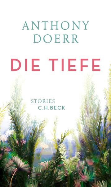 Die sechs Stories dieses Bandes, angesiedelt auf drei verschiedenen Kontinenten, handeln von Erinnerung und Liebe. In jedem Augenblick, sagt Anthony Doerr, verschwinden überall auf der Welt unzählige Erinnerungen, dabei sind sie es, die unserem Leben Sinn und Zusammenhang verleihen. Gleichzeitig erforschen Kinder neues, unbekanntes Terrain, formen frische Erinnerungen, erfinden die Welt neu. In „Die Memel“ zieht ein verwaistes Mädchen zu ihrem Großvater nach Litauen und entdeckt eine Welt, in der Mythen real werden. In „Dorf 113“ geht es um den Bau des Drei-Schluchten-Damms und um die Samenhüterin, die auch die Geschichte des Dorfes bewahrt, das bald überflutet werden wird. In „Nachwelt“, einer erschütternden, unvergesslichen Geschichte, wird eine Frau, als einzige Überlebende aus einem jüdischen Waisenhaus in Hamburg dem Holocaust entronnen, von Visionen ihrer Kindheitsfreundinnen heimgesucht, findet aber Trost in der zärtlichen Fürsorge ihres Enkelsohns. „Die Tiefe“, angesiedelt im Detroit der dreißiger Jahre, erzählt die melancholische Liebesgeschichte von Tom und Ruby, die Tom wegen seiner Herzschwäche in Lebensgefahr bringt. Doerr erzählt von fast mystischen Momenten, in denen die Zeit aufgehoben scheint und die Toten anwesend sind. Die Welt wird transparent, wenn dieser große Erzähler sie und ihre Bewohner beschreibt.