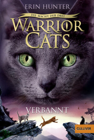 Warrior Cats: Die Macht der Drei: Verbannt | Bundesamt für magische Wesen