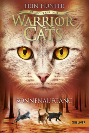 Warrior Cats: Die Macht der drei: Sonnenaufgang | Bundesamt für magische Wesen