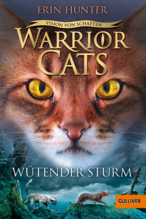 Warrior Cats: Vision von Schatten: Wütender Sturm | Bundesamt für magische Wesen