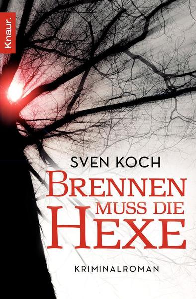 Eine grauenvolle Mordserie versetzt die Bürger von Lemfeld in Angst und Schrecken. Ein Wahnsinniger verbrennt Frauen auf dem Scheiterhaufen, nachdem er sie nach mittelalterlichen Methoden brutal gefoltert hat. »Für immer. A.G.« diese kryptische Botschaft hinterlässt der Mörder am Tatort. Die SOKO »Flammenhimmel« ermittelt unter Hochdruck. Denn Polizeipsychologin Alexandra von Stietencron befürchtet, die bevorstehende Walpurgisnacht könnte in einem Blutbad enden …