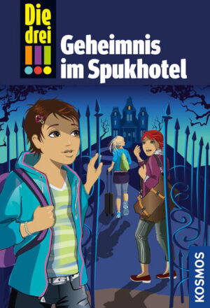 Kim, Franzi und Marie sind „Die drei !!!“. Mutig und clever ermitteln die drei Freundinnen und sind jedem Fall gewachsen. Die drei !!! übernachten in einem alten Schlosshotel. Doch unheimliche Schritte und andere unerklärliche Phänomene rauben den Detektivinnen den Schlaf. Eine nervenaufreibende Geisterjagd beginnt …