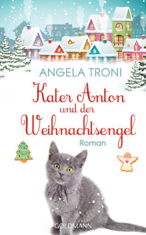 Kater Anton und seine Besitzerin Ella sind zurück aus Frankreich. Aber Anton hat es nicht leicht, denn Ella ist kreuzunglücklich. Ihr Job in Dijon entpuppte sich als Reinfall, und die Beziehung zu ihrem Freund Xavier liegt auf Eis. Während Anton durch die Straßen seines Viertels streift und von französischen Leckereien träumt, versucht Ella, sich ein neues Leben aufzubauen. Sie will Madame Bernards berühmte Honigkuchen aus Dijon in Deutschland verkaufen. Das ist aber schwieriger als gedacht, und kurz vor Heiligabend steht Ellas Welt auf dem Kopf. Doch zum Glück macht Anton eine aufregende Entdeckung - und rettet damit nicht nur das Weihnachtsfest der beiden ...