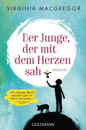 Eine große Geschichte über einen kleinen Jungen mit einem besonderen Blick auf die Welt. Das Sehvermögen des neunjährigen Milo lässt immer stärker nach, irgendwann wird er vollständig erblinden. Aber noch sieht er die Welt - wenn auch nur wie durch ein Nadelöhr. Doch so bemerkt er Kleinigkeiten, die anderen entgehen: Im Altersheim seiner Großmutter fallen Milo seltsame Vorgänge auf. Die Erwachsenen interessieren sich nicht für seine Erkenntnisse, und so bleiben ihm nur der Koch Tripi und sein Ferkel Hamlet, um ihm bei seiner Mission zu helfen. Milo ist nämlich entschlossen, seine Großmutter wieder nach Hause zu holen, die Machenschaften der Heimleiterin offenzulegen und - vielleicht - seine Eltern zu versöhnen.