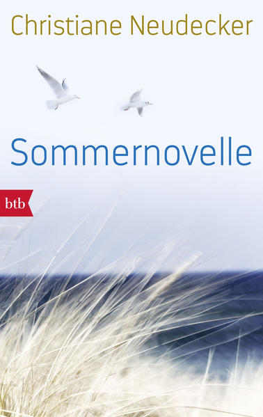 Es ist der Sommer, den sie nie vergessen werden. In ihren Ferien arbeiten zwei 15-jährige Schülerinnen auf einer Vogelstation direkt am Meer. Bei flirrender Hitze streifen sie über die Insel und lauschen den Trillergesängen der Austernfischer, sie trinken eisgekühlte Limonade, zählen Silbermöwen am Himmel und führen Kurgäste durch das schillernde Watt. Doch dann holt eine Realität sie ein, mit der sie nicht gerechnet hatten. Denn was geschieht, wenn man sich mitten in der Lebenslüge eines anderen Menschen befindet? Mit leuchtender Erzählkraft entführt Christiane Neudecker ihre Leser an die stürmische Nordsee, hinein in die Turbulenzen des Erwachsenwerdens - und in die Magie des Sommers von 1989.