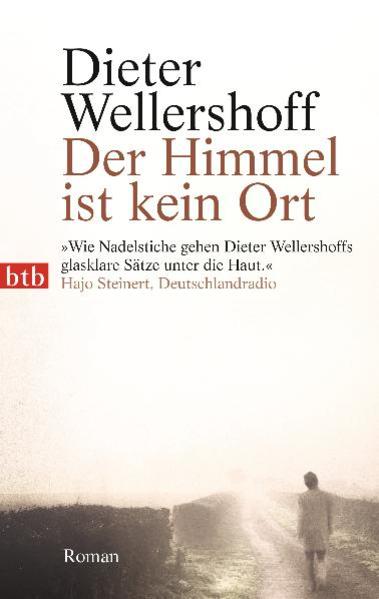 Der Roman beginnt wie ein Krimi und entwickelt sich zu einem figurenreichen Gesellschaftsdrama. Hauptfigur ist der junge Landpfarrer Ralf Henrichsen, der eines Nachts zu einem Unfallort gerufen wird. Ein Auto ist von der Straße abgekommen und in einen See gestürzt. Der Fahrer hat sich gerettet, seine Frau und sein Sohn werden leblos geborgen. Wie das geschehen konnte, ist unklar. In der Folge der Ereignisse gerät Henrichsen in eine sich ausweitende Sinnkrise.