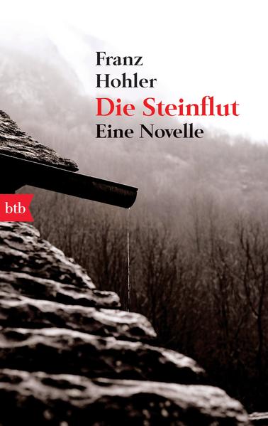 Am 9. September 1881 in einem kleinen Dorf hoch oben in den Schweizer Bergen: Die kleine Katharina wird zusammen mit ihrem jüngeren Bruder zu den Großeltern geschickt. Dort sollen beide die nächsten Tage verbringen, bis die Mutter ihr sechstes Kind zur Welt gebracht hat. Doch es kündigt sich noch ein anderes Ereignis an. Von einem Hang sind einige Felsbrocken ins Tal hinabgestürzt und der ganze Berghang könnte sich lösen und das Dorf unter sich begraben. Daran möchte niemand glauben, am allerwenigsten die Arbeiter im Schieferbruch, die mit ihren Händen ganze Familien ernähren. Aber der Berg führt in Franz Hohlers hochgelobter, in der Tradition der besten Schweizer Literatur stehenden Novelle sein Eigenleben …