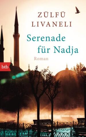 Ein alter Mann sucht seine Vergangenheit, eine junge Frau ihre Zukunft. Eigentlich soll die Türkin Maya den deutschstämmigen Professor Maximilian Wagner nur während eines Kongresses in Istanbul betreuen. Doch je mehr die junge Frau von seinem Leben erfährt, desto weniger kann sie sich der tragischen Geschichte des alten Mannes entziehen. Ganz allmählich versteht Maya, was es mit der geheimnisvollen Frau, Nadja, auf sich hat, von der Wagner stets erzählt. Und für die er - Jahrzehnte später - am Ufer des Schwarzen Meeres seine Geige auspackt und spielt. Die Geschichte dieser tragischen Liebe lässt Maya nicht los, vor allem als sie immer mehr Parallelen zu ihrem eigenen Leben erkennt …