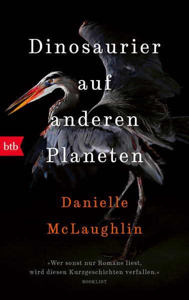 »Wer sonst nur Romane liest, wird diesen Kurzgeschichten verfallen.« Booklist Ausgezeichnet mit dem Windham-Campbell Prize, einer der höchstdotierten und wichtigsten literarischen Auszeichnungen der Welt: Erzählungen über Menschen in Irland und den alltäglichen Wahnsinn im ganz normalen Leben. Eine junge Frau lernt ihren Mann ganz neu kennen, als sie zum ersten Mal seine Heimat an der nordirischen Küste besuchen