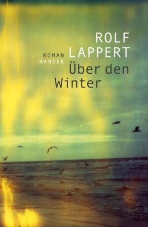 Lennard Salm ist fünfzig und als Künstler weltweit durchaus erfolgreich. Als seine älteste Schwester stirbt, kehrt er zurück nach Hamburg und in die Familie, der er immer entkommen wollte. So schnell wie möglich will er wieder zurück in sein eigenes Leben. Aber was ist das, das eigene Leben? Salms jüngere Schwester Bille verliert ihren Job, sein Vater nähert sich immer schneller der Hilflosigkeit. Einen funkelnden Winter lang entdeckt Salm, dass niemand jemals alleine ist. Er lernt seine Eltern und Geschwister neu kennen. Rolf Lappert erzählt vom Wunder der kleinen Dinge und von dem, was heute Familie bedeutet. Jedes Detail leuchtet in diesem zarten, großen Familienroman.