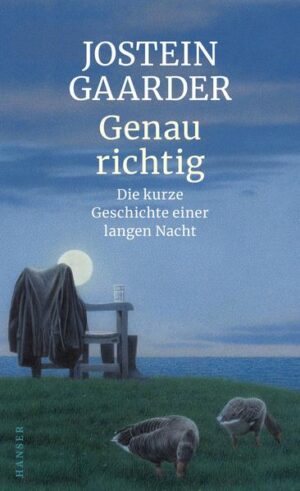 Was ist das Wichtigste im Leben? Und was genau richtig? Albert hat eine schlimme Diagnose von seiner Ärztin und ehemaligen Geliebten erhalten. Während seine Frau Eirin auf einem Kongress ist, fährt er allein in die einsame Ferienhütte an einem Waldsee: Soll er sein Leben selbst beenden, bevor es die tödliche Krankheit tut? Um mit sich selbst ins Reine zu kommen, schreibt er in das Hüttenbuch. Er erzählt, wie er Eirin kennenlernte und wie sie als junge Verliebte in das Märchenhaus einbrachen, das sie später gekauft haben. Wie seine Ehe zu kriseln begann, welche Rolle Sohn und Enkelin für ihn spielen und von seiner Begeisterung für die Astrophysik. Es wird eine lange Nacht, bis irgendwann ein Boot ruderlos auf dem See treibt und ein Fremder erscheint.