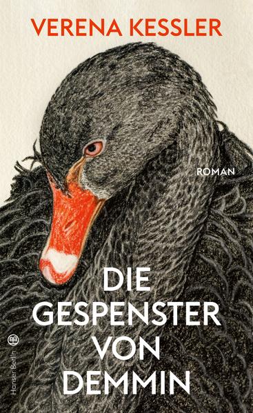 Wie sehr bestimmt die Geschichte unsere Gegenwart? Verena Keßlers Debüt über die Haltlosigkeit des Erwachsenwerdens „brummt nur so vor Lebendigkeit. Traurig, witzig, abgründig - Bombe!“ Stefanie de Velasco Larry lebt in einer Stadt mit besonderer Geschichte - Ende des Zweiten Weltkriegs fand in Demmin der größte Massensuizid der deutschen Geschichte statt. Für Larry ist ihre Heimatstadt aber vor allem eins: langweilig. Sie will so schnell wie möglich raus in die Welt und Kriegsreporterin werden. Während Larry mit den Unzumutbarkeiten des Erwachsenwerdens kämpft, steht einer alten Frau der Umzug ins Seniorenheim bevor. Beim Aussortieren ihres Hausstands erinnert sie sich an das Kriegsende in Demmin und trifft eine folgenschwere Entscheidung. Mit Leichtigkeit und Witz erzählt Verena Keßler von Trauer und Einsamkeit, von Freundschaft und der ersten Liebe. Ein Roman über die Sprachlosigkeit zwischen den Generationen und die Möglichkeit, sie zu überwinden.