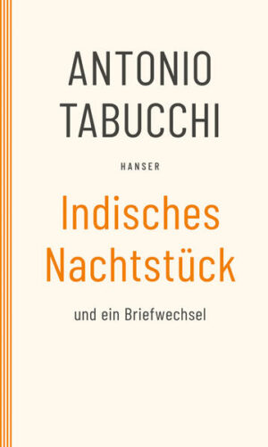 Die Geschichte einer Suche: Einer fährt nach Indien, um einen ehemaligen Freund zu treffen, einen Portugiesen, der auf geheimnisvolle Weise verschollen ist. Nachrichten, Briefe, verschlüsselte Botschaften lassen ihn von Bombay über Madras bis nach Goa reisen, wobei der Anlaß der Reise mehr und mehr verschwimmt. Ist es die Suche nach einem Doppelgänger oder nach einer wirklichen Person - oder erschöpft sich der Sinn der Reise im Unterwegssein, an dessen Ende ein Buch steht? Am Ende sitzt der Erzähler mit einer Reisebekanntschaft auf einer Hotelterrasse und erzählt den Inhalt des Romans, an dem er gerade schreibt: die Geschichte der Suche nach einem Mann, der in Indien verlorengegangen ist. Und plötzlich sieht er ihn, den anderen, ein paar Tische weiter.