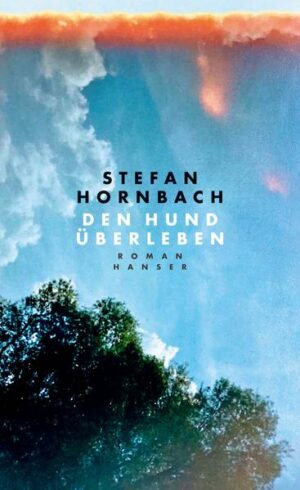 Wie es weitergeht, wenn es nicht mehr weiterzugehen scheint - ein bewegendes Debüt von Stefan Hornbach. Ausgezeichnet mit dem Literaturpreis der Jürgen Ponto Stiftung. Sebastian sollte überall sein, aber nicht in seinem alten Kinderzimmer, nicht in diesem Neubaugebiet irgendwo in Deutschland. Er sollte in seiner WG sein, er sollte an der Uni sein, er sollte mit seiner besten Freundin Su zusammen andere Jungs kennenlernen und einfach leben. Aber alles kommt anders: Drei Tumore sind in seinem Körper, zwei davon faustgroß. Die Chemotherapie muss so schnell wie möglich beginnen und Sebastian zieht wieder zu seinen Eltern ... Eine starke Geschichte über Freundschaft und Familie, über Jungsein und Krankheit. Stefan Hornbach legt ein mitreißendes Debüt vor, das so selbstverständlich und bewegend von Existenziellem erzählt, wie es nur selten zu lesen ist.