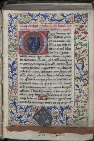Die lateinischen Handschriften bis 1600 Band 2: Quarthandschriften (Q) | Bundesamt für magische Wesen