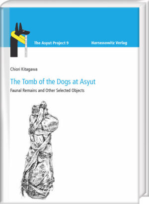 The Tomb of the Dogs at Asyut | Chiori Kitagawa
