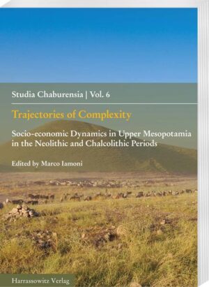 Trajectories of Complexity | Marco Iamoni