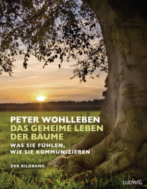 Ein neuer Blick auf alte Freunde – der Bildband Das Buch, das 2015 für Furore gesorgt hat, erzählt von den ungeahnten Welten, die sich in unseren Wäldern verbergen und bislang unseren Blicken entzogen haben. Jetzt erscheint der Bestseller in Großformat, reich bebildert und durchgehend vierfarbig. Er enthält den vollständigen Originaltext und lässt den Leser auch visuell in diesen faszinierenden Kosmos eintauchen. Die wunderbaren Geschichten von Peter Wohlleben und die stimmungsvollen Fotos bilden zusammen eine perfekte Liaison. Ausstattung: Zahlr.Abb.durchg.4c