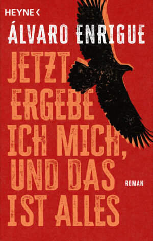 Janos, Mexiko, 1835: Als Apachen eine junge Witwe entführen, bekommt Leutnant Zuloaga den Auftrag, nach ihr zu suchen. In seinem Gefolge reiten unter anderem eine scharfschießende Nonne, ein alter Tanzlehrer und zwei ehemalige Gefangene aus dem Stamm der Yaqui. Als sie die Frau schließlich finden, machen sie eine verblüffende Entdeckung. New York, 2017: Ein mexikanischer Schriftsteller hadert mit der amerikanischen Politik. Aus Angst, nach einem Besuch in seiner Heimat nicht mehr einreisen zu dürfen, verbringt er den Familienurlaub im Grenzgebiet zu Mexiko, wo sich einst Géronimo, der letzte Häuptling der Apachen, ergeben hat. Die Geschichte Géronimos wird zur Parabel für seine eigene, die Vergangenheit Amerikas zum Spiegel seiner Gegenwart.