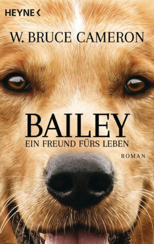 Ab 23. Februar 2017 im Kino Bailey ist clever, faul und ziemlich frech. Am Ende eines tristen Lebens als Straßenköter fragt er sich, wozu er überhaupt auf der Welt war, und ist verblüfft, plötzlich als wunderschöner Rassehund wiedergeboren zu werden. Der achtjährige Ethan nimmt ihn bei sich auf, und Bailey lernt, was es heißt, einen echten Freund zu haben. Aber seine Reise ist noch nicht beendet, er muss weiterziehen und noch viel lernen. Als er Ethan nach vielen Jahren wiedersieht, ergibt alles plötzlich einen Sinn ...