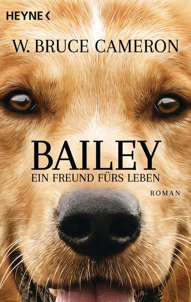 Ab 23. Februar 2017 im Kino Bailey ist clever, faul und ziemlich frech. Am Ende eines tristen Lebens als Straßenköter fragt er sich, wozu er überhaupt auf der Welt war, und ist verblüfft, plötzlich als wunderschöner Rassehund wiedergeboren zu werden. Der achtjährige Ethan nimmt ihn bei sich auf, und Bailey lernt, was es heißt, einen echten Freund zu haben. Aber seine Reise ist noch nicht beendet, er muss weiterziehen und noch viel lernen. Als er Ethan nach vielen Jahren wiedersieht, ergibt alles plötzlich einen Sinn ...