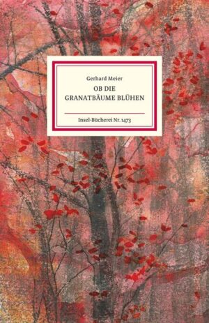 Nach dem Tod seiner Frau Dorli, die ihn und sein Schaffen über sechs Jahrzehnte begleitet hat, findet Gerhard Meier im Schreiben einen Weg aus der Einsamkeit: In atmosphärisch dichter Sprache vergegenwärtigt er sich und dem Leser die gemeinsam erlebte Zeit, die Wanderungen, Reisen und Lektüren. Er führt den Dialog mit seiner Frau über ihren Tod hinaus, und die Grenzen zwischen Vergangenem, Gegenwärtigem und Zukünftigem verschwinden, es bleibt die Sehnsucht und das zärtliche Gedenken an den geliebten Menschen: ein Liebesbrief und Epitaph zugleich.