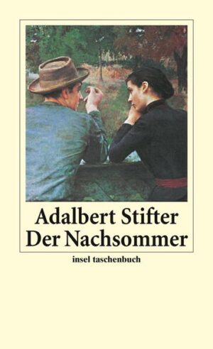 Der Nachsommer ist Adalbert Stifters Hauptwerk. Herzstück des Romans ist eine unerfüllt gebliebene Liebe. Es ist die Geschichte davon, »welch ein Sommer hätte sein können, wenn einer gewesen wäre« - eine der wehmütigsten Liebesgeschichten, die jemals geschrieben wurden.