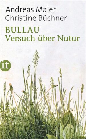 Eine farbige, sehr persönliche Mischung aus Erinnerung, Recherche und Reflexion wird zu einer Annäherung an das altmodische Fach Naturkunde. Anhand von Spaziergängen in der Wetterau und im Wendland, in Südtirol und im Odenwald beschreiben Christine Büchner und Andreas Maier ihre éducation naturelle. Ihr »Traktat über den Seelensegen der Naturerfahrung« (Frankfurter Allgemeine Zeitung) ist eine Einladung an die Leser, sich auf die Natur einzulassen, und eine Anleitung zum Glücklichsein. »… aber die Wahrheit ist, dass wir uns gar nicht interessieren für Ehrenpreis oder Kleiber oder Weg 2 unterhalb des Bullauer Hofs. Es ist kein Interesse, es ist etwas anderes. Es ist vielleicht eine Sehnsucht. Eine Sehnsucht nach dem, wie es sein könnte. Wie es sein könnte, wenn etwas anders wäre. Ja, aber was?«