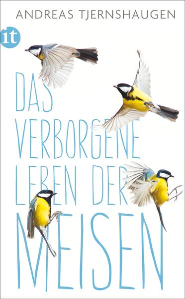 Sie gehören zu den beliebtesten Vogelarten in unseren Gärten und Parks: die Meisen. Klug und anpassungsfähig haben sie sich mit uns Menschen bestens arrangiert und erfreuen uns das ganze Jahr mit ihrem Gesang. Dennoch gibt es vieles im Leben der possierlichen Vögel, das uns bislang verborgen blieb. Wussten Sie zum Beispiel, dass Meisen der Vielweiberei frönen, Fledermäuse töten, weil deren Gehirn besonders lecker schmeckt, und sich in der Luft wie fliegende Dinosaurier verhalten? Andreas Tjernshaugen, Ornithologe aus Leidenschaft, hat ein Jahr lang aus nächster Nähe ihre Gewohnheiten beobachtet und zeigt, was wir über diese Vögel alles nicht wissen, und enthüllt uns eine faszinierende Welt direkt vor unseren Augen.