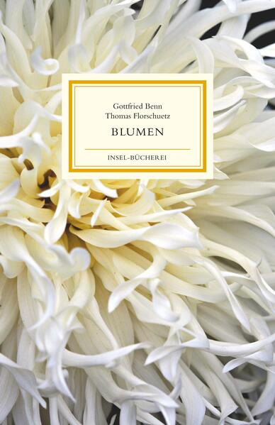 »Ruhe sanft, kleine Aster«, »O du, sieh an, Levkoienwelle« oder »Nimm fort die Amarylle« - in jedem dritten Gedicht Benns gibt es eine Anspielung auf Blumen und Blüten. Manche tragen die Blume im Titel, andere im Reim. Hier dient die Blüte als Schmuck, dort als Gleichnis und manchmal auch als Signal einer Stimmung oder Gestimmtheit. Das sicherste Zeichen sind sie für den Wechsel vom Zynischen ins Elegische, vom Sarkasmus in die hemmungslose Melancholie. Thomas Florschuetz und Durs Grünbein haben aus diesem Reichtum eine Auswahl getroffen. Thomas Florschuetz, einer der »herausragenden Vertreter der international höchst anerkannten deutschen Fotografie«, stellt Benns Gedichten eigene Bilder von Blüten und Früchten zur Seite. Durs Grünbein begleitet die Auswahl mit einem Nachwort und einem Gedicht.